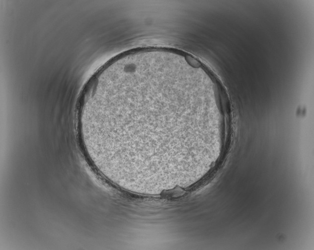 X0000111920981200908241047