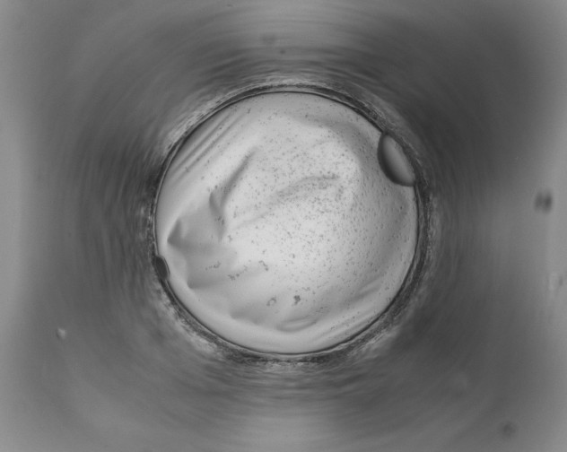 X0000111920985200908241047