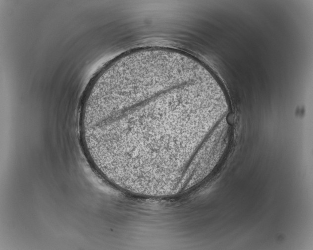 X0000111920987200908241047