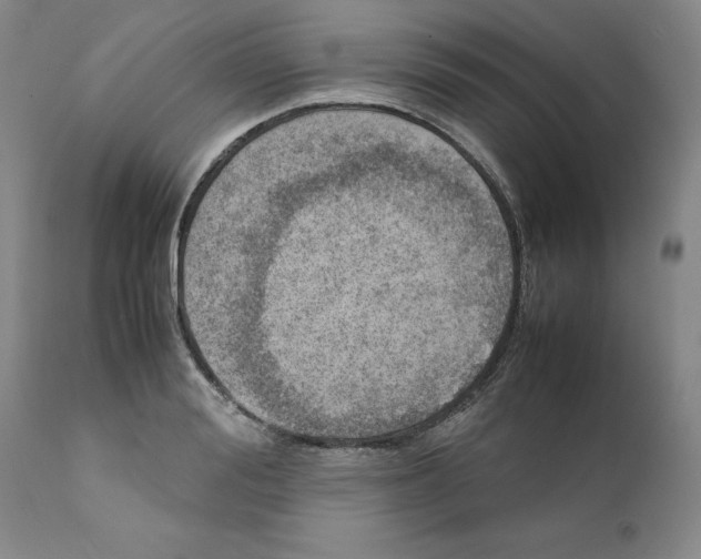 X0000111920988200908241047