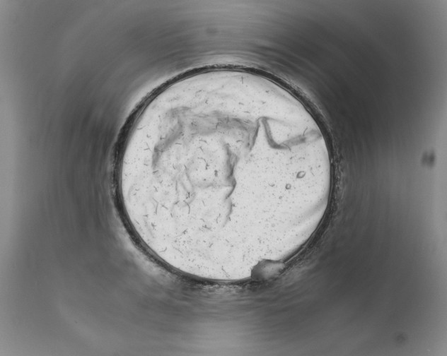 X0000111920991200908241047