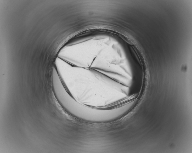 X0000111920993200908241046