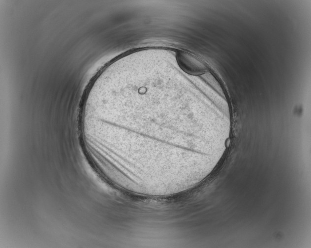 X0000111920995200908241046