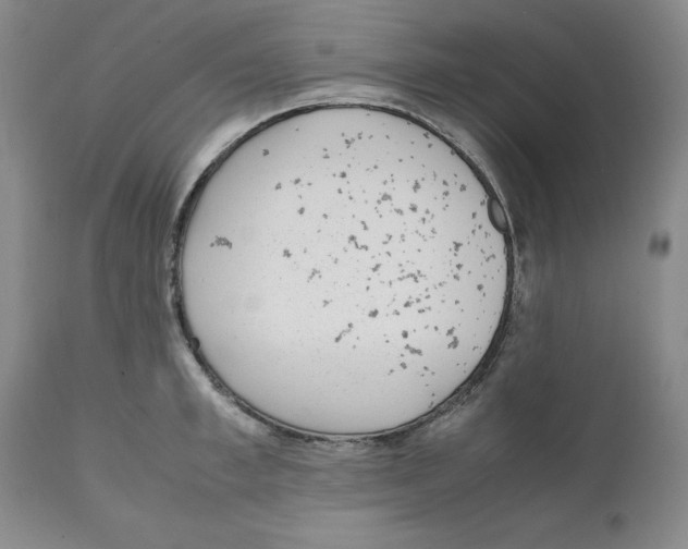 X0000111920997200908241046