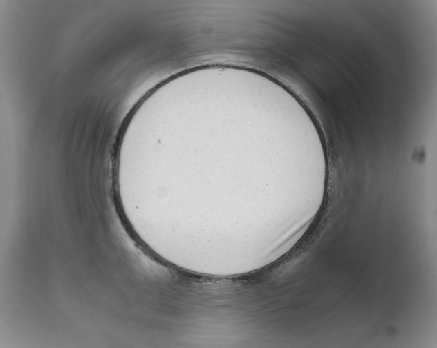 X0000111920999200908241046