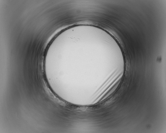 X0000111921000200908241046