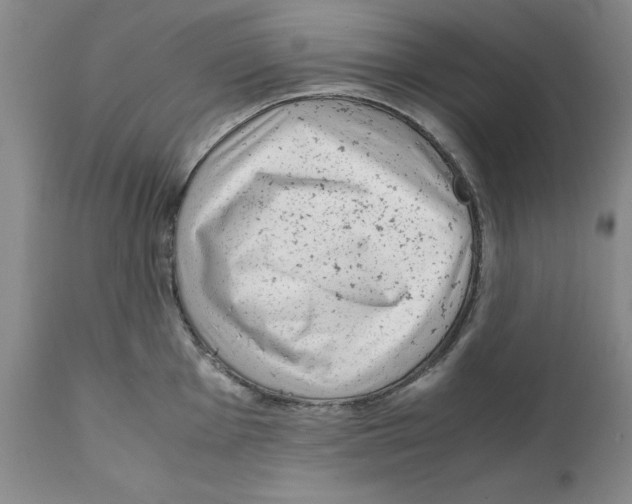 X0000111921001200908241046