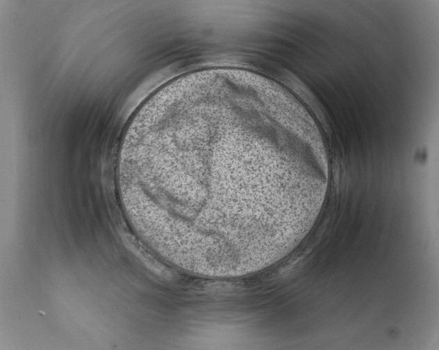 X0000111921002200908241046