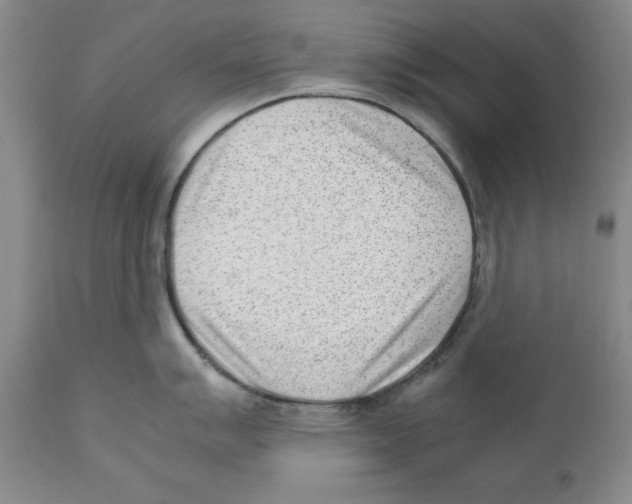 X0000111921007200908241046