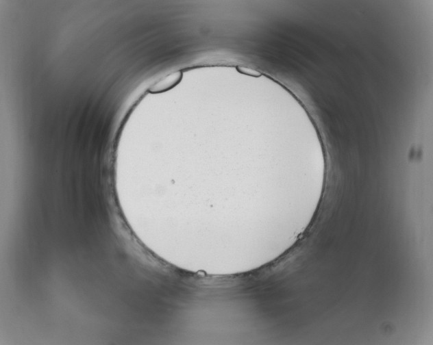 X0000111921008200908241046