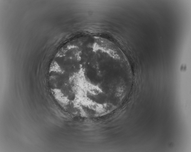 X0000111921009200908241045