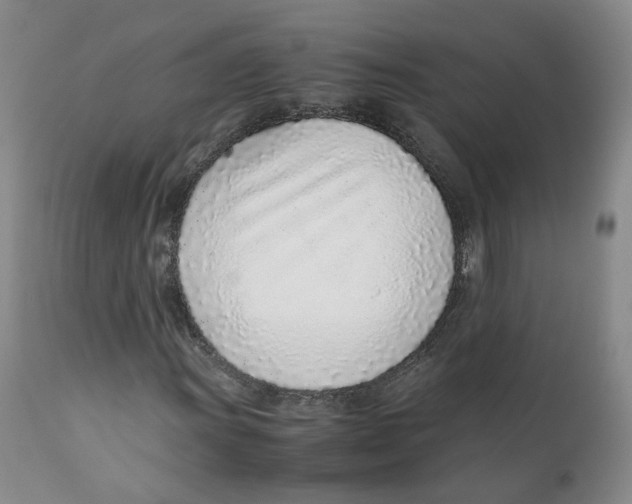 X0000111921011200908241045