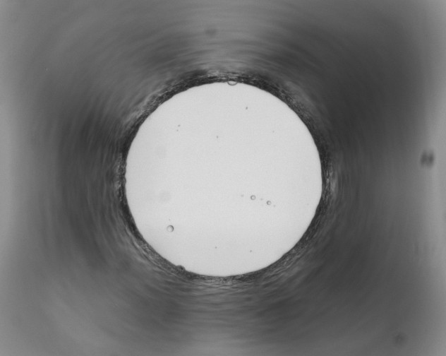 X0000111921012200908241045