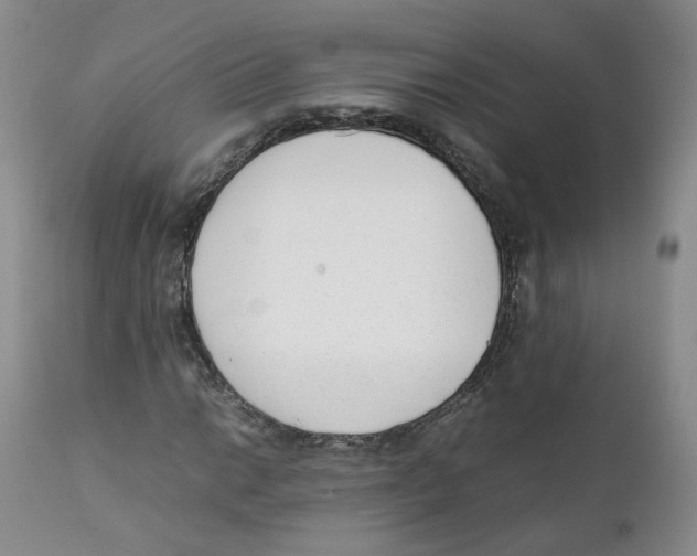 X0000111921014200908241045