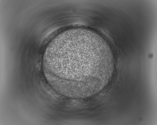 X0000111921015200908241045