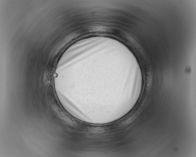 X0000111921017200908241045