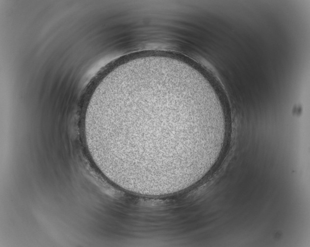 X0000111921019200908241045