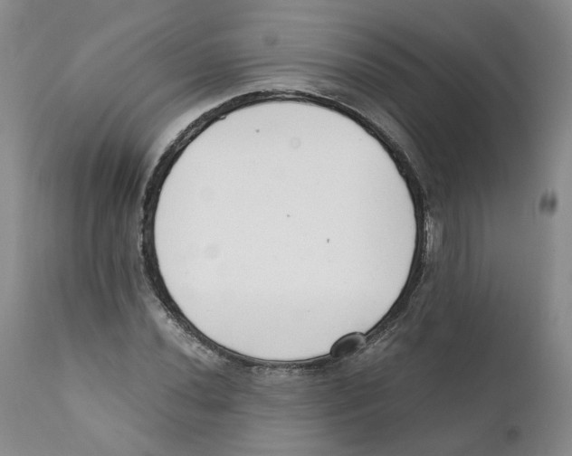 X0000111921020200908241045