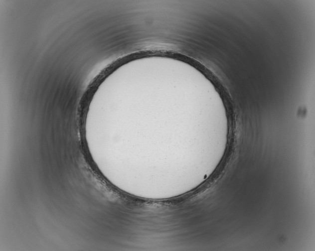 X0000111921022200908241045