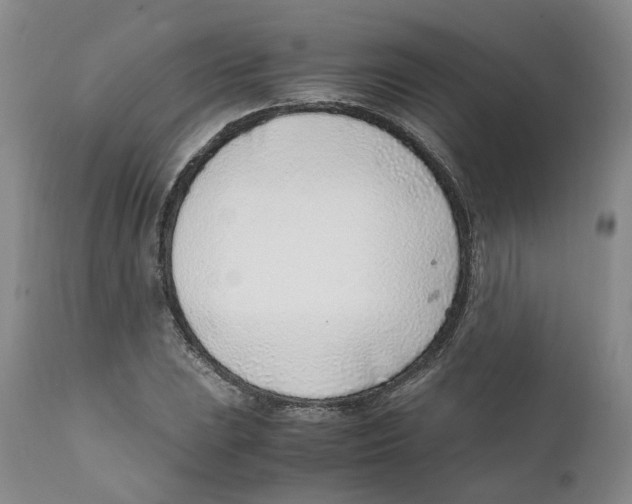 X0000111921023200908241045