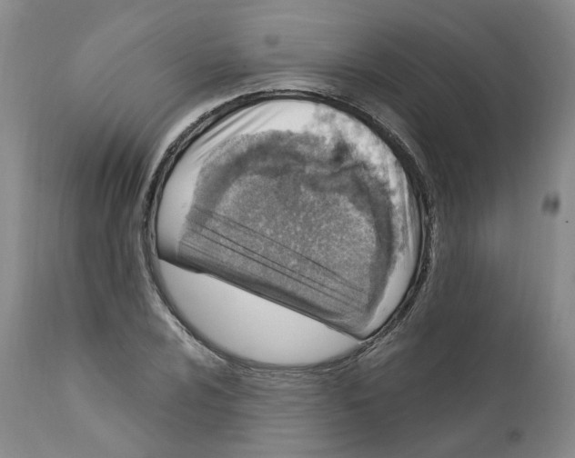 X0000111921024200908241045