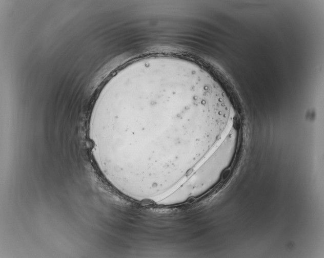 X0000111921025200908241045