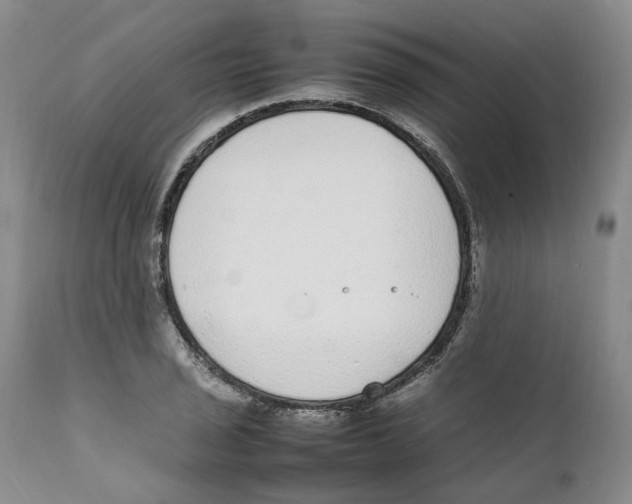 X0000111921029200908241046