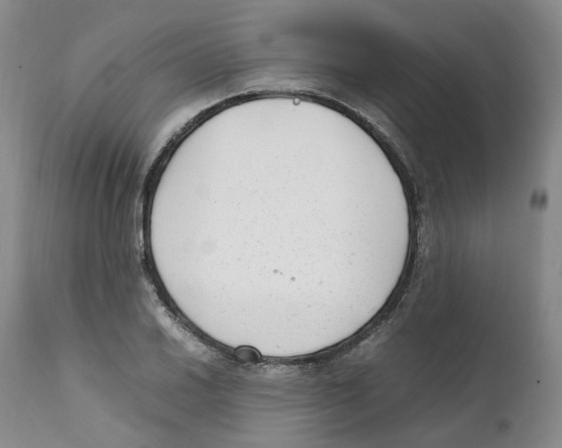 X0000111921030200908241046