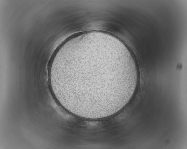 X0000111921031200908241046