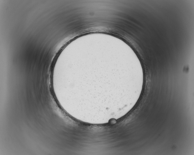 X0000111921034200908241046