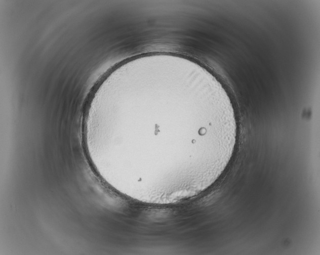 X0000111921035200908241046