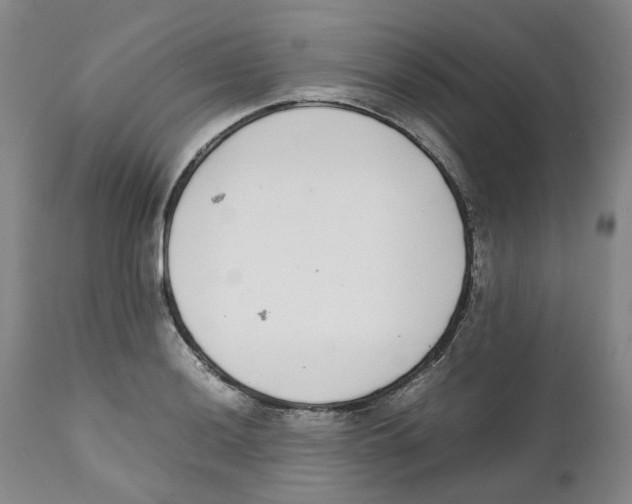 X0000111921036200908241046