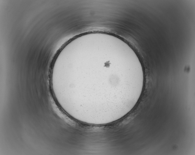 X0000111921038200908241046