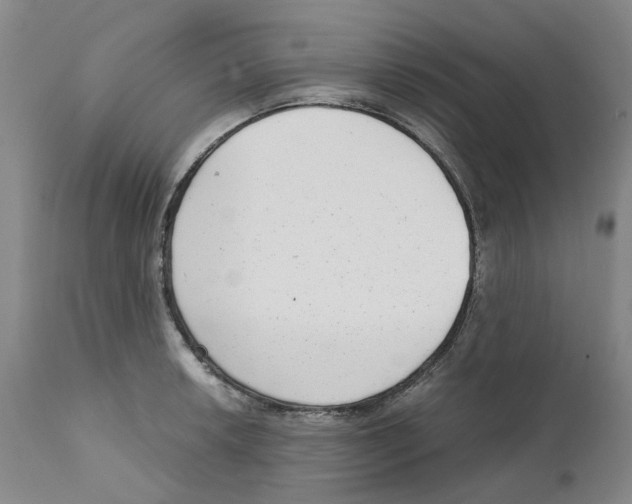 X0000111921042200908241046