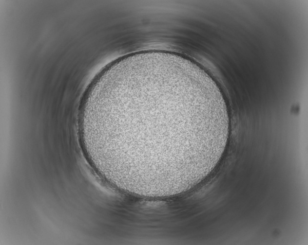 X0000111921043200908241046