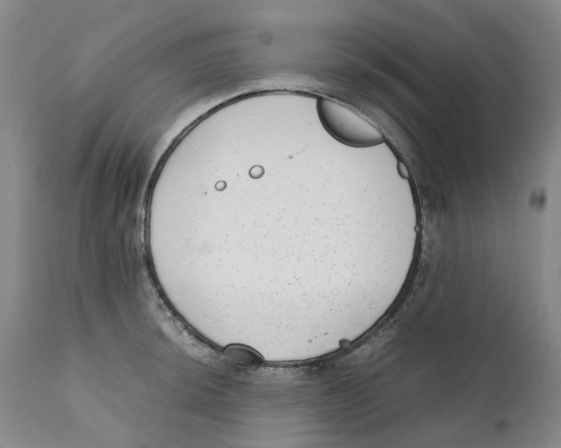 X0000111921044200908241046