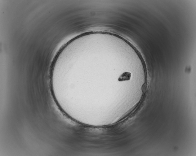 X0000111921045200908241046