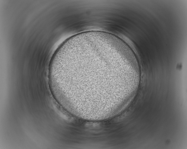 X0000111921051200908241046