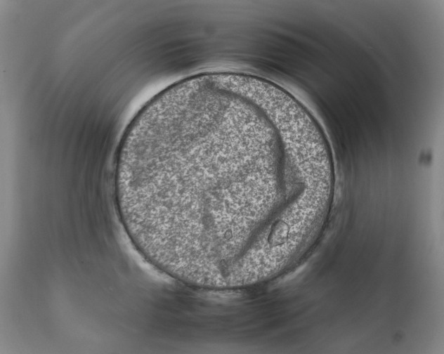 X0000111921053200908241046