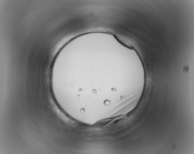 X0000111921054200908241046