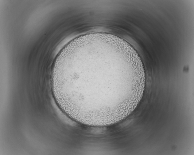 X0000111921055200908241046