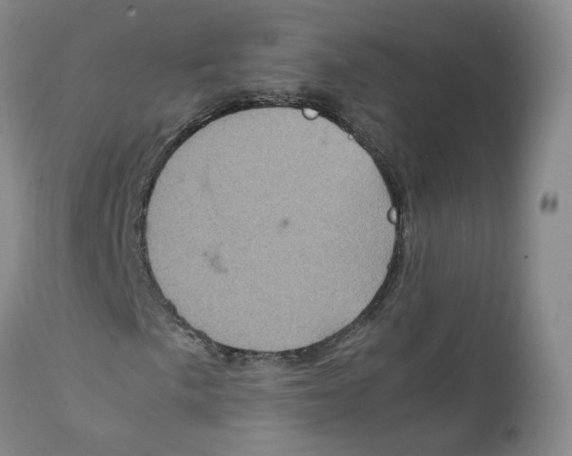 X0000111921057200908241045