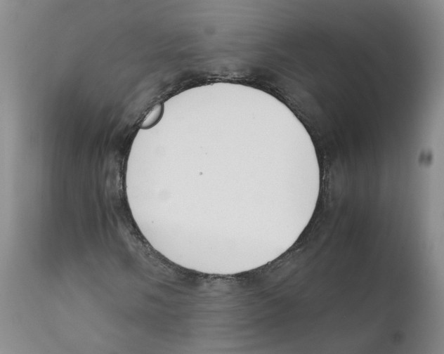 X0000111921058200908241045