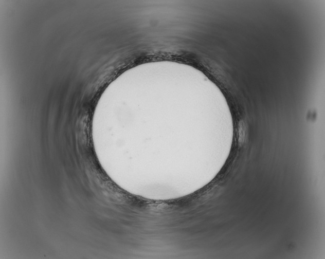 X0000111921059200908241045