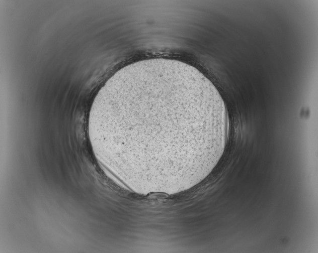 X0000111921060200908241045