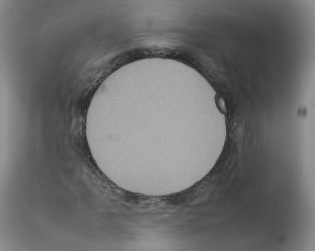 X0000111921061200908241045