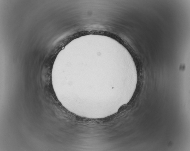 X0000111921063200908241045