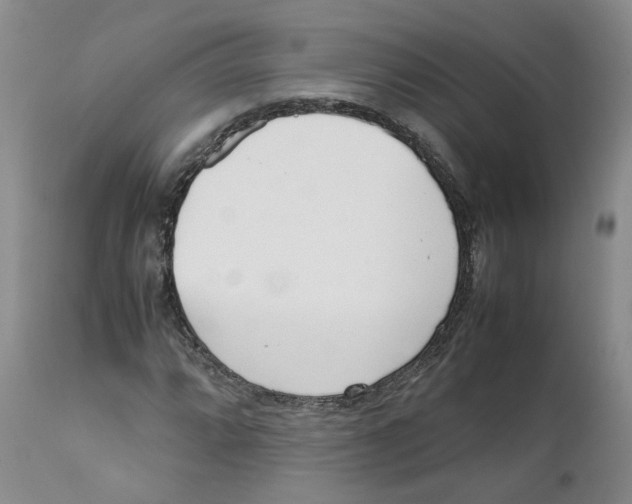 X0000111921064200908241045