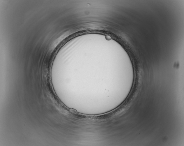 X0000111921065200908241045