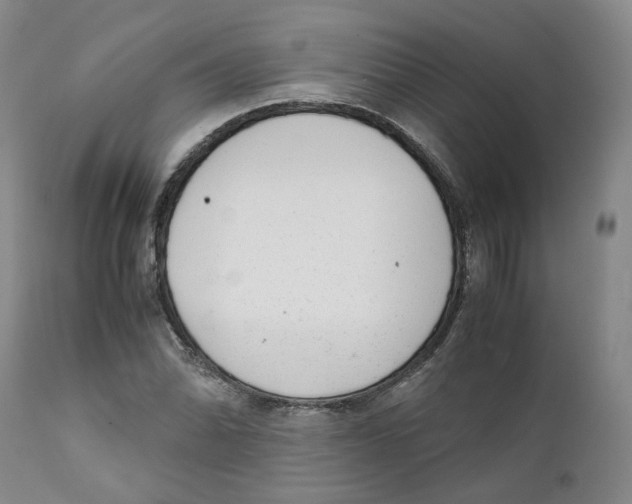 X0000111921070200908241045